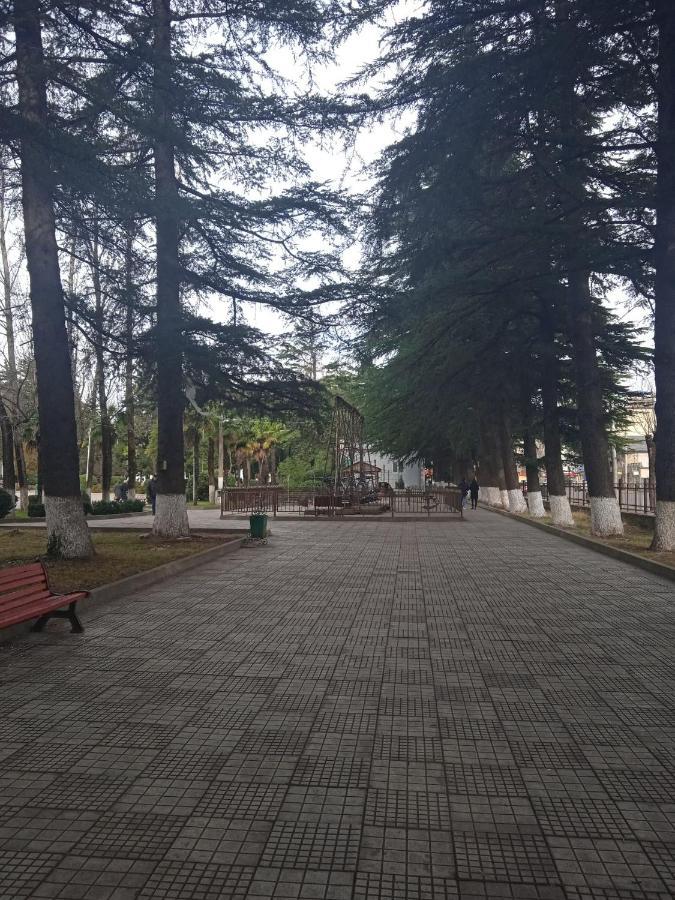Silence Daire Kutaisi Dış mekan fotoğraf